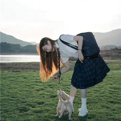 北极世界末日 海报